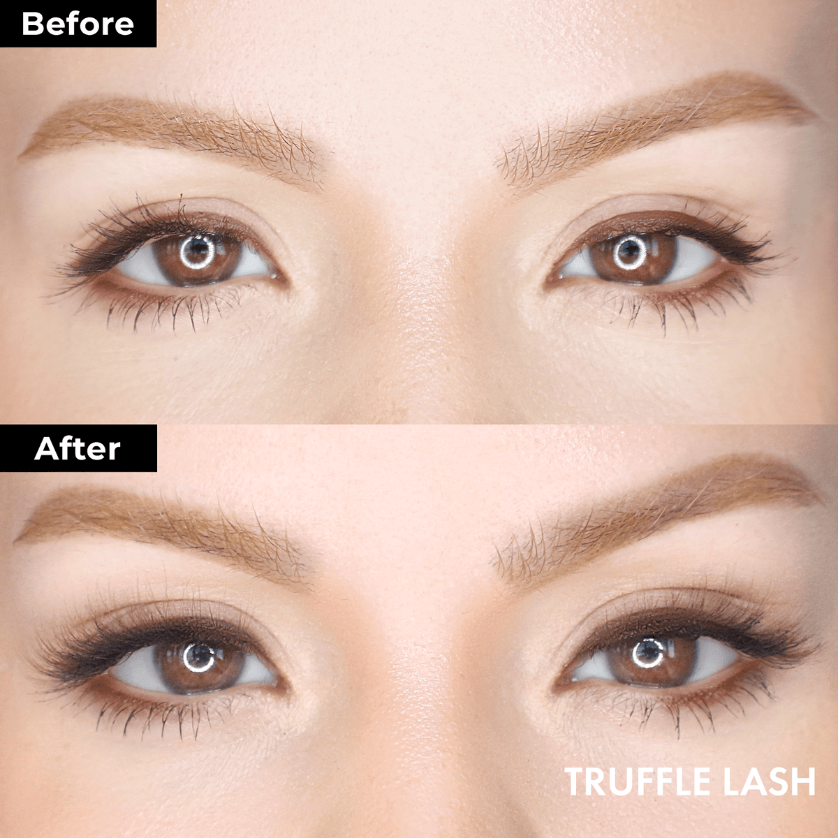 Truffle Lash